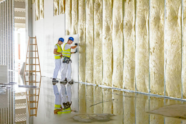Best Insulation Installation Services in Linda, CA